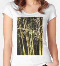 bamboo background nature scene Women's Fitted Scoop T-Shirt