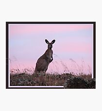 Aussie icon Photographic Print