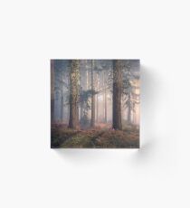 Puddletown Forest Acrylic Block