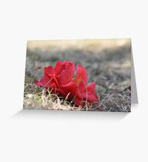 earth wind and fire Greeting Card