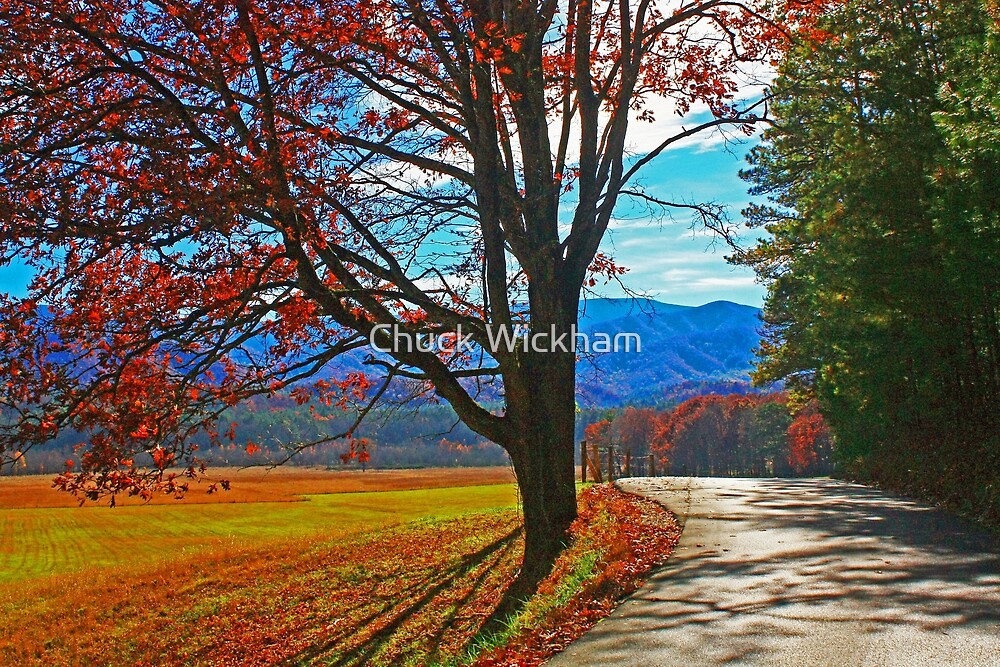 "CADES COVE LOOP ROAD,AUTUMN" by Chuck Wickham Redbubble