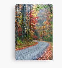 ROAD,TREMONT Metal Print