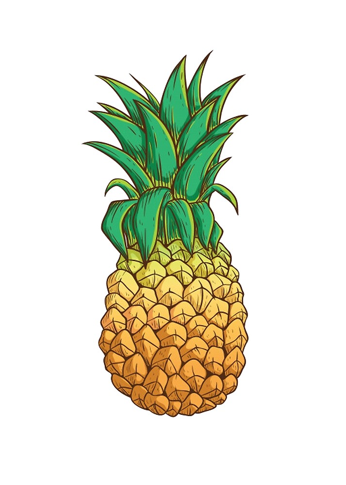 "Pineapple sketch" by jodyceline Redbubble