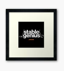 16229-06-BDK – Stable Genius – Equestrian (White) Framed Print