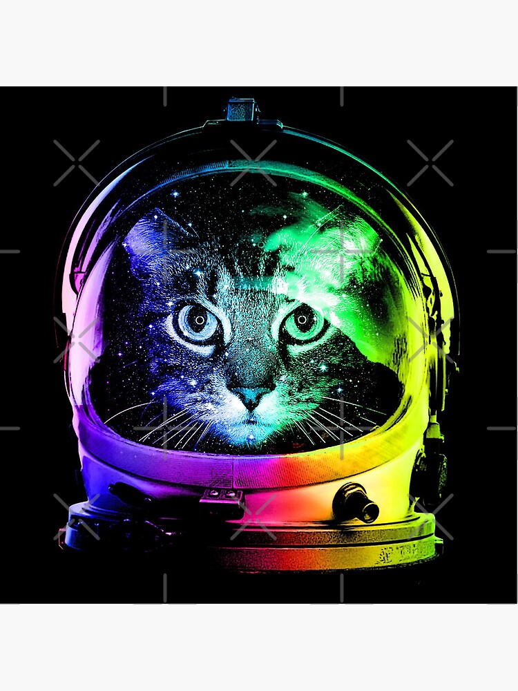 Astronaut Cat by clingcling