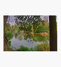 Lake Photographic Print