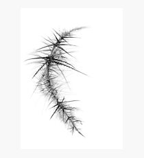 stake zero 1 Photographic Print