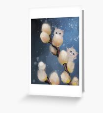 Pussy WIllow Greeting Card