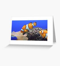 clownfish Greeting Card