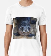 Langnasige Pelzrobbenpup - alias Neuseeland-Pelzrobbe Premium T-Shirt