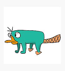 Perry The Platypus Photographic Print