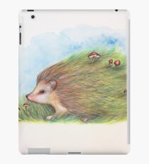 Whimsy Hedgehog iPad Case/Skin