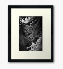 Wiskers & Threads Framed Print
