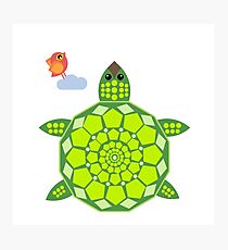 Mrs. Turtle Photographic Print
