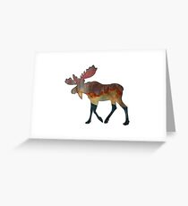 An Incredible Journey Greeting Card