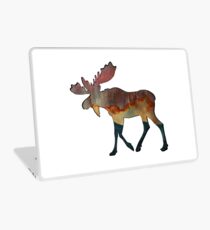An Incredible Journey Laptop Skin