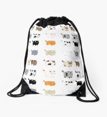 Fat Cats Drawstring Bag