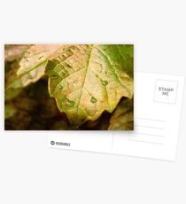 Refresh Postcards
