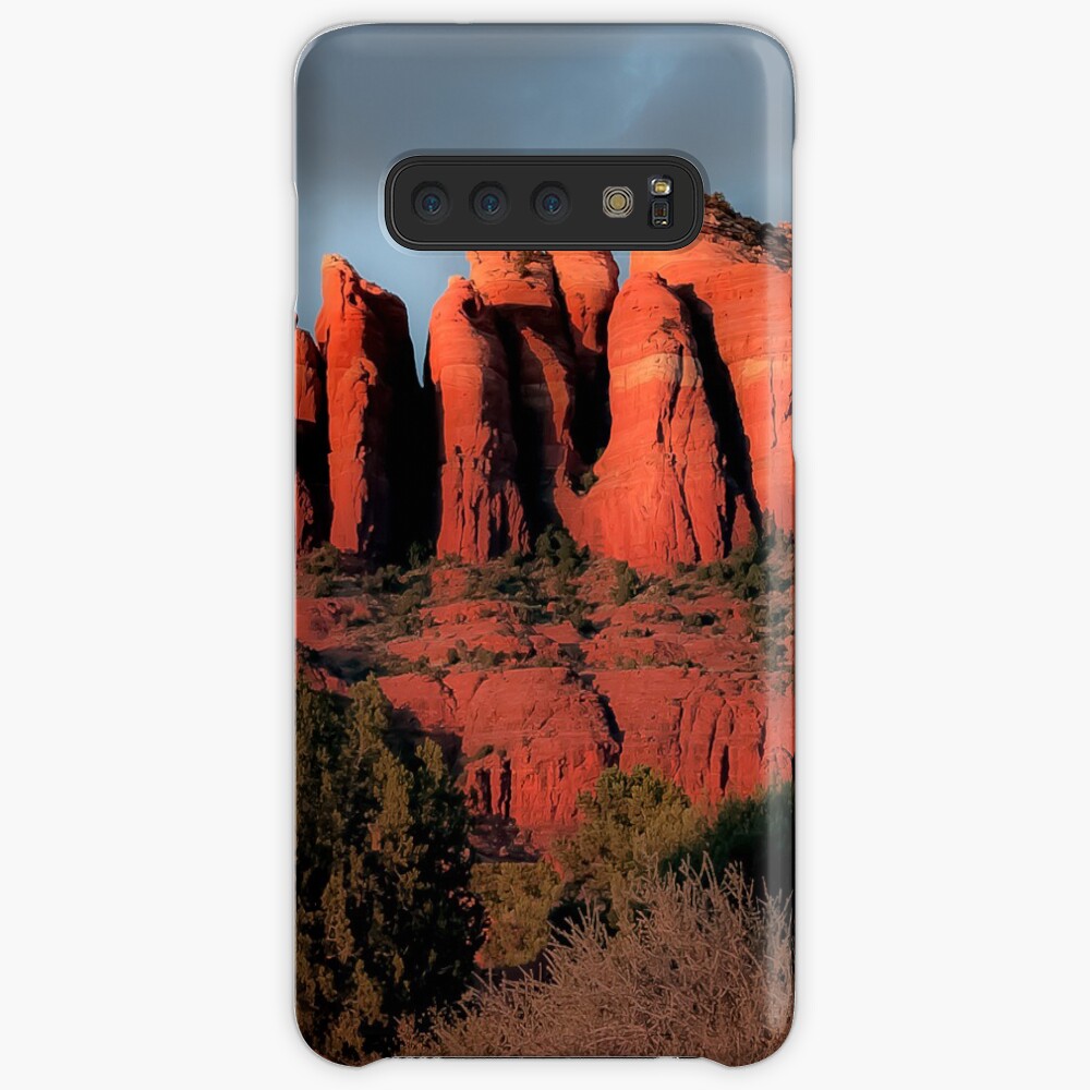 Sufficiency Samsung Galaxy Snap Case