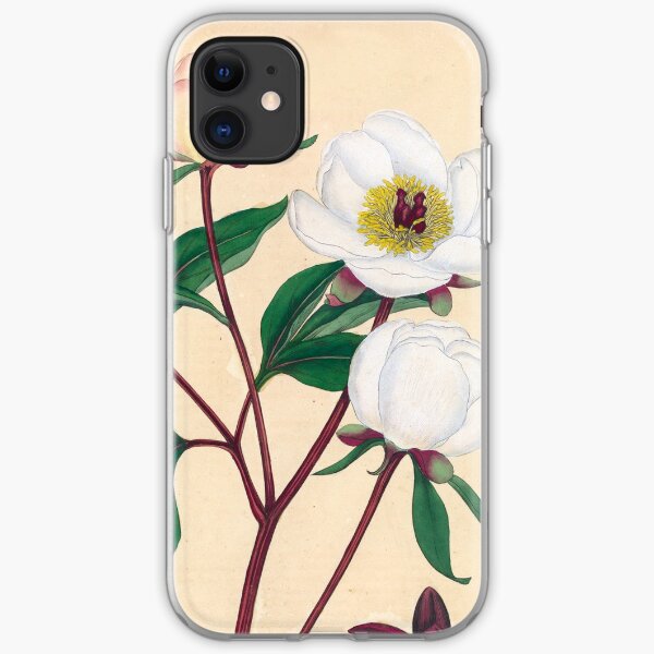 Botanical illustration: Peonies by Henry Charles Andrews – State Library Victoria iPhone Soft Case