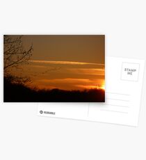 Fly Away Postcards