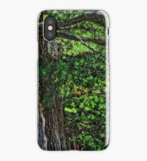 Love of Nature iPhone Case/Skin