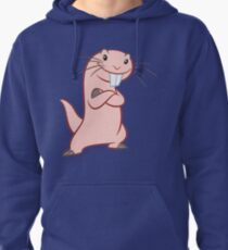 Rufus Pullover Hoodie