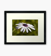 Nature - Up Close Framed Print