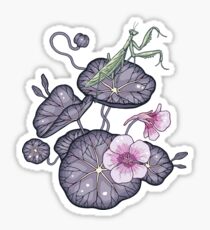 Schwarzer indischer Kressegarten. Sticker
