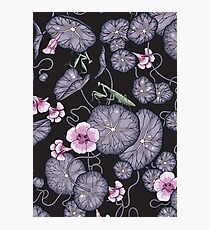 Black Indian cress garden. Photographic Print
