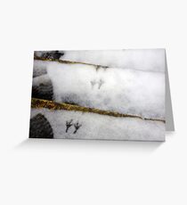 Footprints Greeting Card