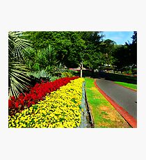 Fitzroy Gardens, Melbourne Photographic Print