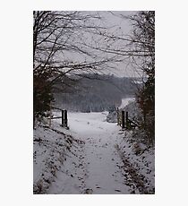 Narnia Photographic Print