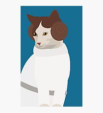 Princess Catwalker Photographic Print