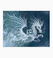 Frost Dragon Photographic Print