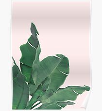Banana leaves tropical leaf Poster