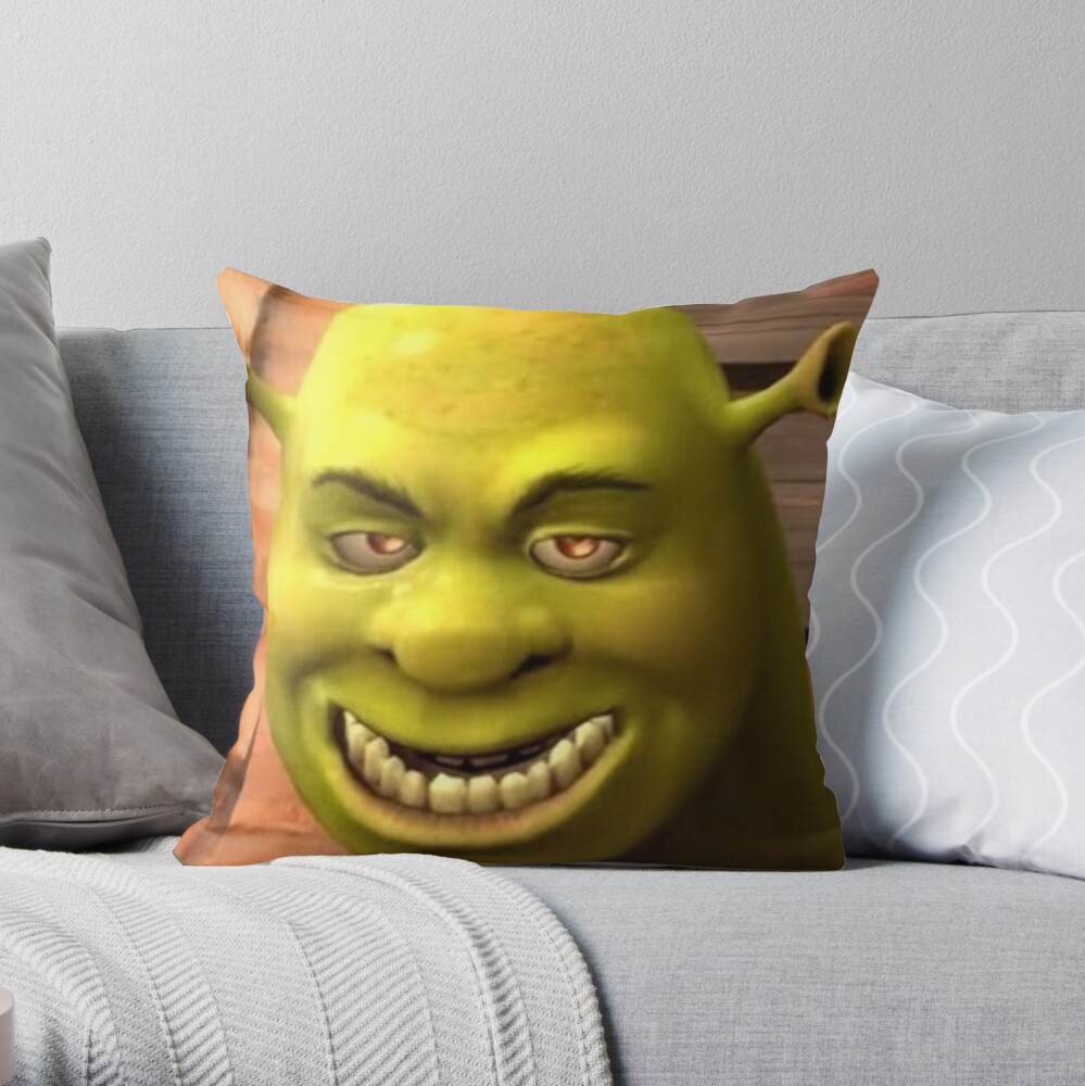 shrek pillow pet for sale