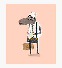 Corporate Sheep Photographic Print
