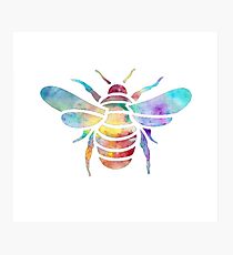 BumbleBee Photographic Print