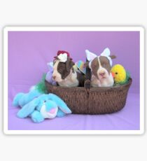 Easter Puppies Sticker