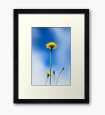 Time to mow the lawns Framed Print
