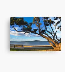 Rangitoto Canvas Print