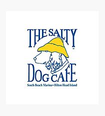 The salty dog Photographic Print