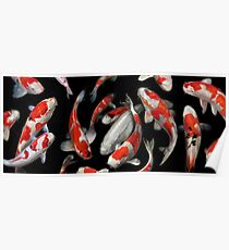 Koi Fish Poster