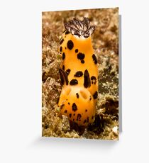 Nudi Greeting Card