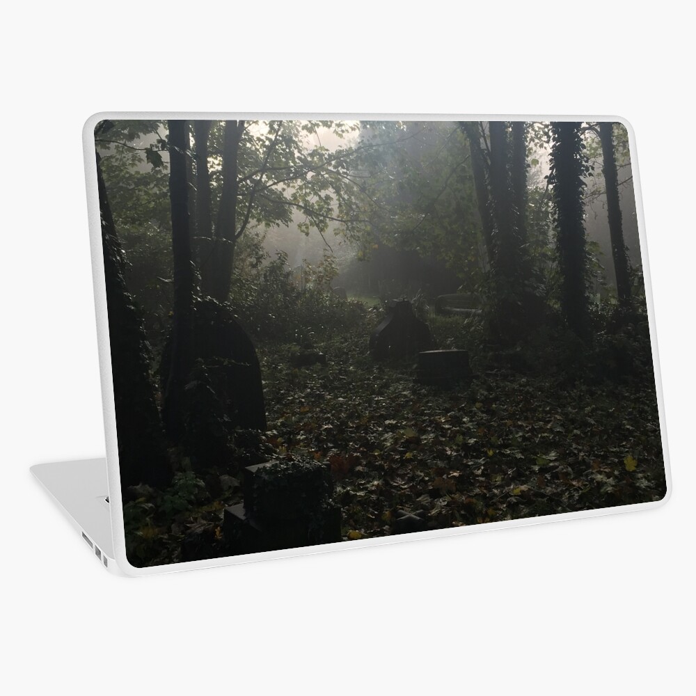 Misty graveyard Laptop Skin