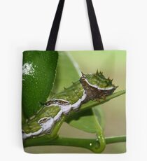 Curves Tote Bag