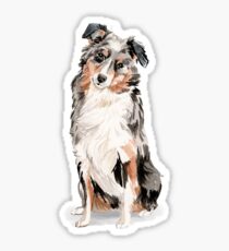 Australian Shepherd Sticker