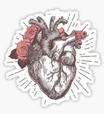 Anatomical Heart Floral Sticker