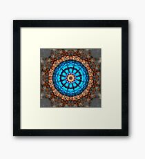 Nuts for Serenity Framed Print